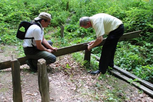 WorkshopBarsana_AmenajarePopas_4